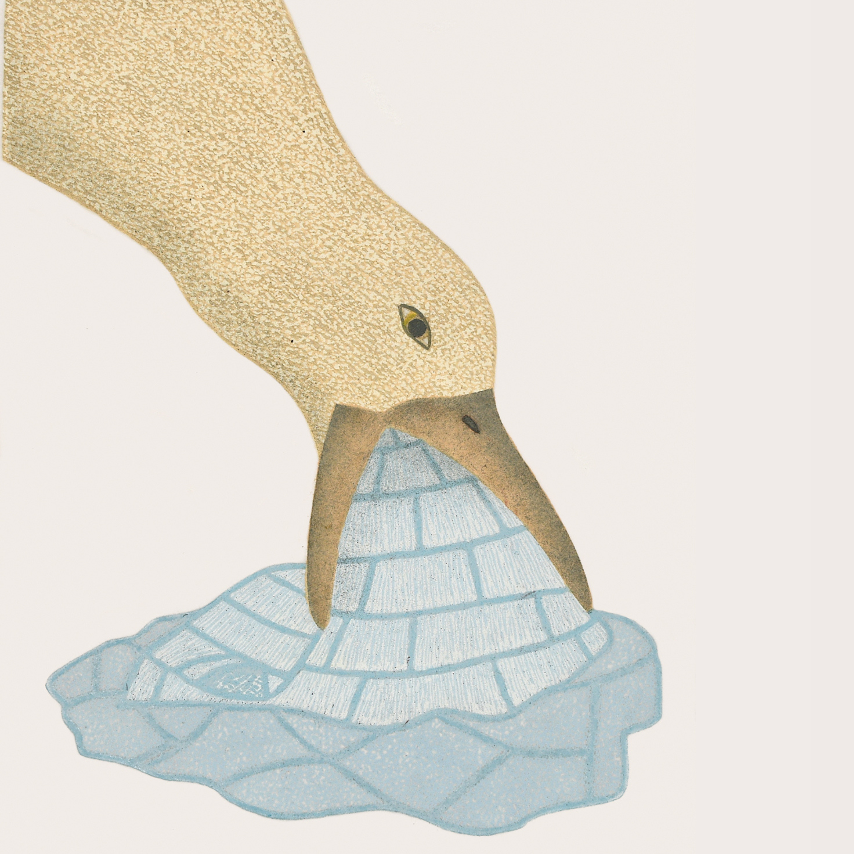 Icy Treat - Qavavau Manumie - iPhone Case